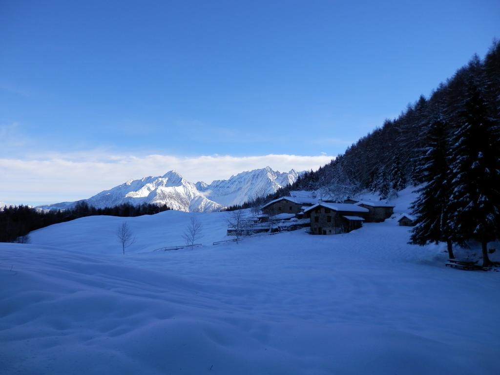 Casa Vacanza Dal Contadino Cir O17063 Corteno Golgi Chambre photo